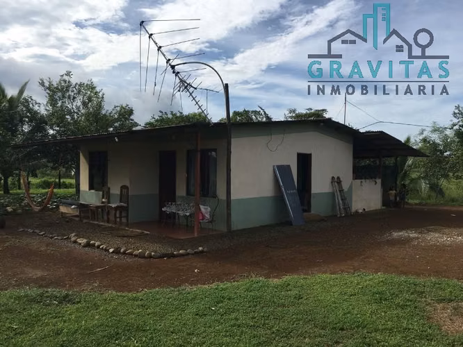 Finca ganadera en venta en Guácimo, Limón | 82 Hect ID 211