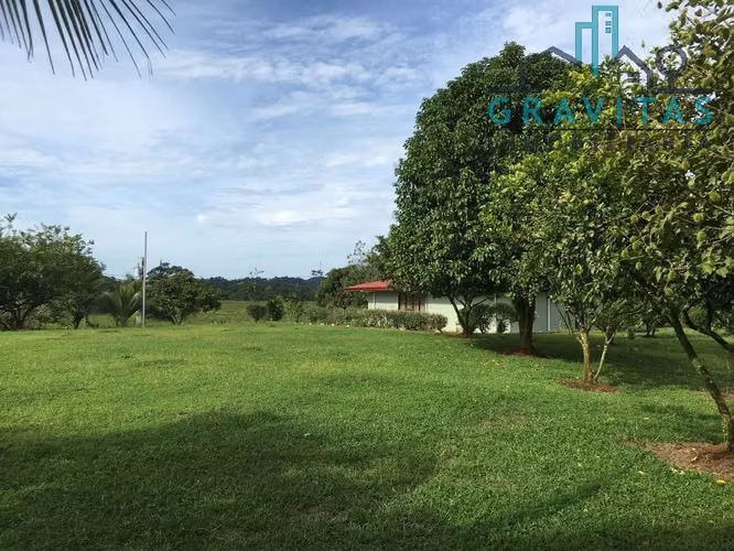 Finca ganadera en venta en Guácimo, Limón | 82 Hect ID 211