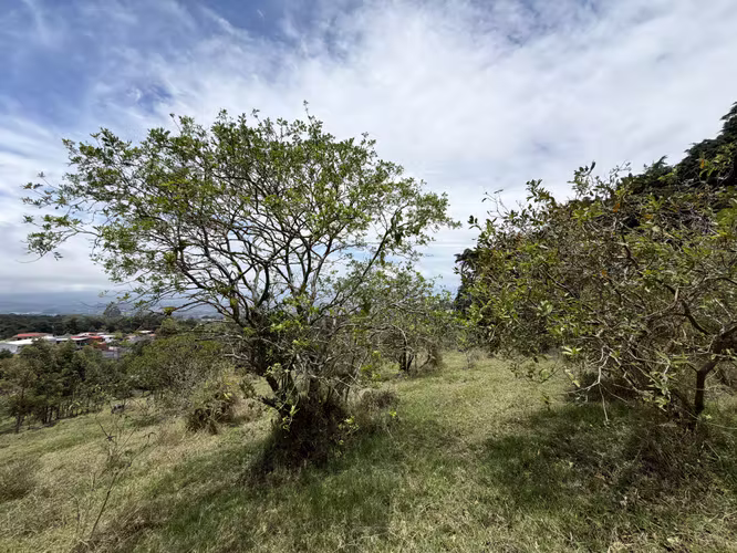 Terreno en Venta 15621 m2 – Concepción de San Rafael de Heredia - Imagen 11