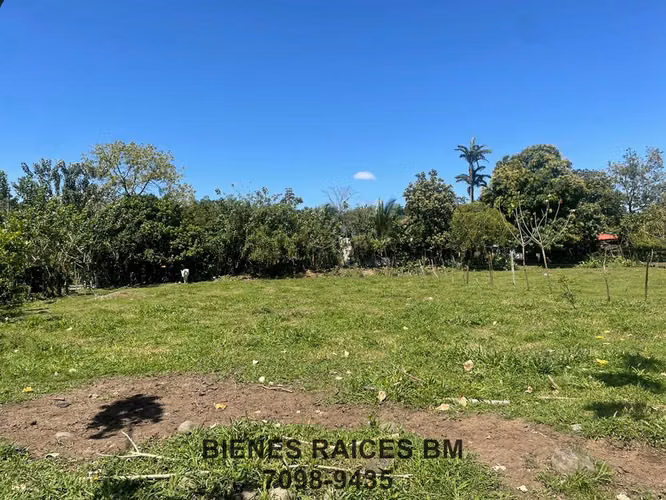 Se Vende Terreno en Horquetas de Sarapiquí (Finca 6) - Imagen 11