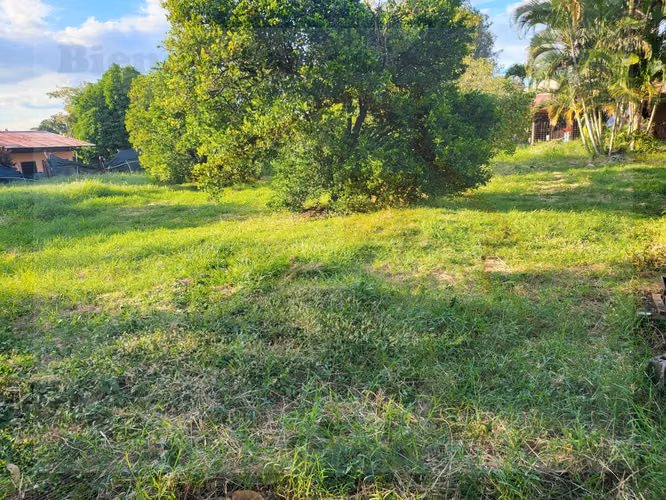 Terreno para Actividad Comercial o Residencial en Llorente de Flores - Imagen 13