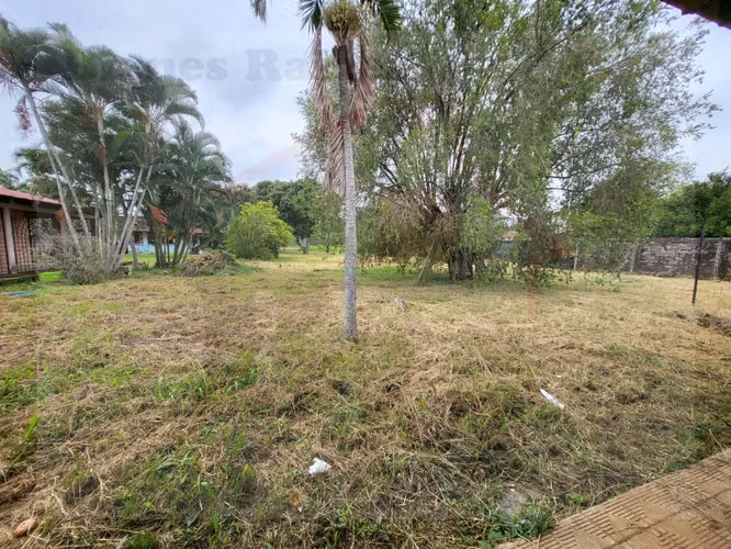 Terreno para Actividad Comercial o Residencial en Llorente de Flores - Imagen 14