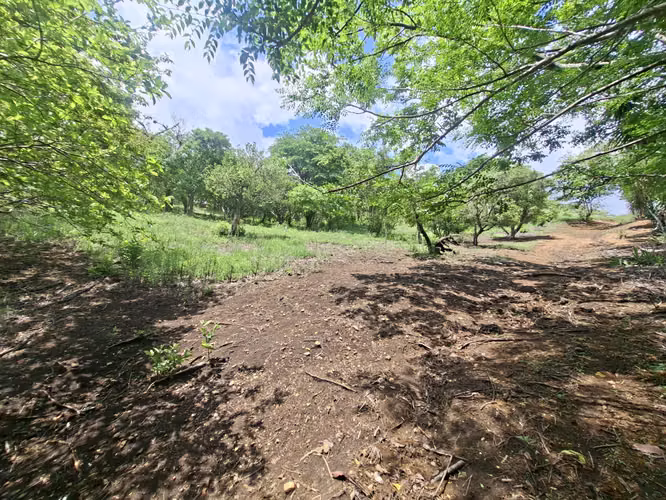 PROPIEDAD EN VENTA. BRASIL DE SANTA ANA. 30 003 m2. USO RESIDENCIAL - Imagen 9
