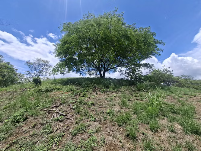 PROPIEDAD EN VENTA. BRASIL DE SANTA ANA. 30 003 m2. USO RESIDENCIAL - Imagen 17