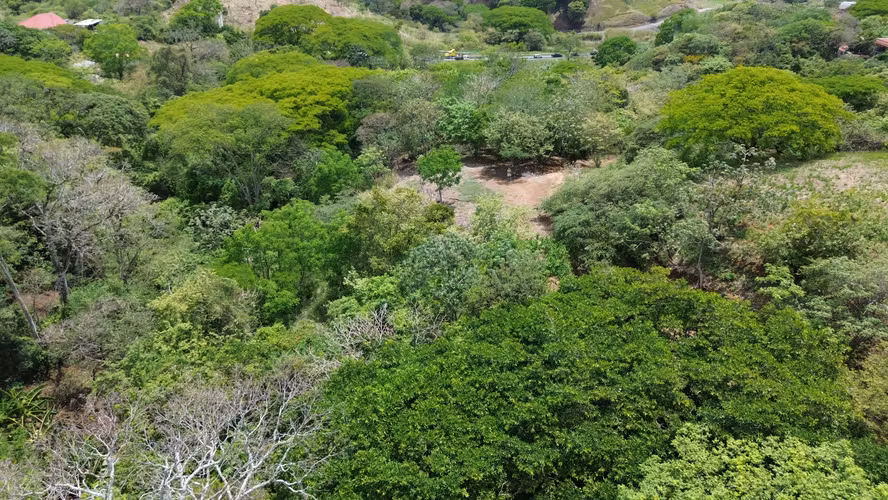 PROPIEDAD EN VENTA. BRASIL DE SANTA ANA. 30 003 m2. USO RESIDENCIAL - Imagen 16