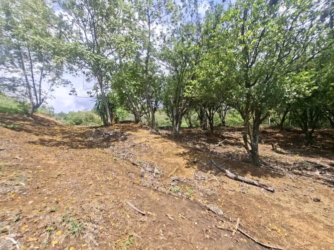 PROPIEDAD EN VENTA. BRASIL DE SANTA ANA. 30 003 m2. USO RESIDENCIAL - Imagen 8