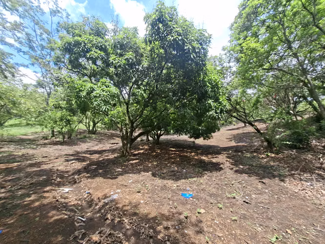 PROPIEDAD EN VENTA. BRASIL DE SANTA ANA. 30 003 m2. USO RESIDENCIAL - Imagen 12