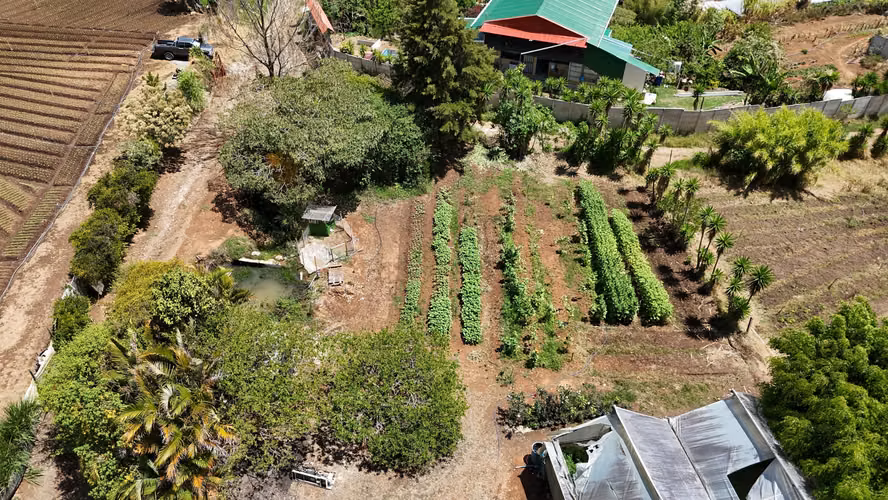 VENTA LOTE EN CARTAGO EL GUARCO, TOBOSÍ 5071 m2