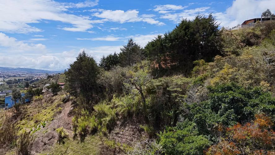 VENTA LOTE EN CARTAGO EL GUARCO, TOBOSÍ 5071 m2