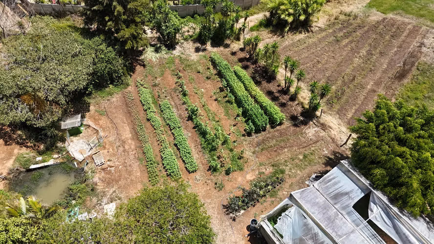 VENTA LOTE EN CARTAGO EL GUARCO, TOBOSÍ 5071 m2