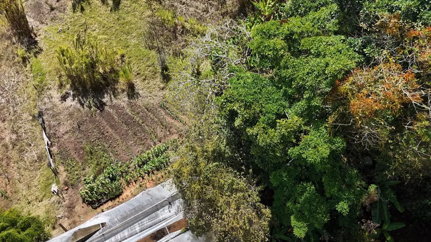 VENTA LOTE EN CARTAGO EL GUARCO, TOBOSÍ 5071 m2