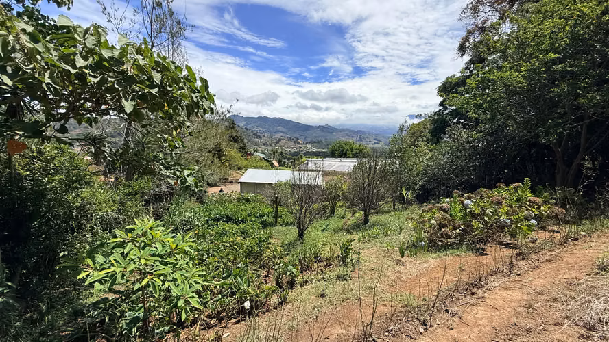VENTA LOTE EN CARTAGO EL GUARCO, TOBOSÍ 5071 m2