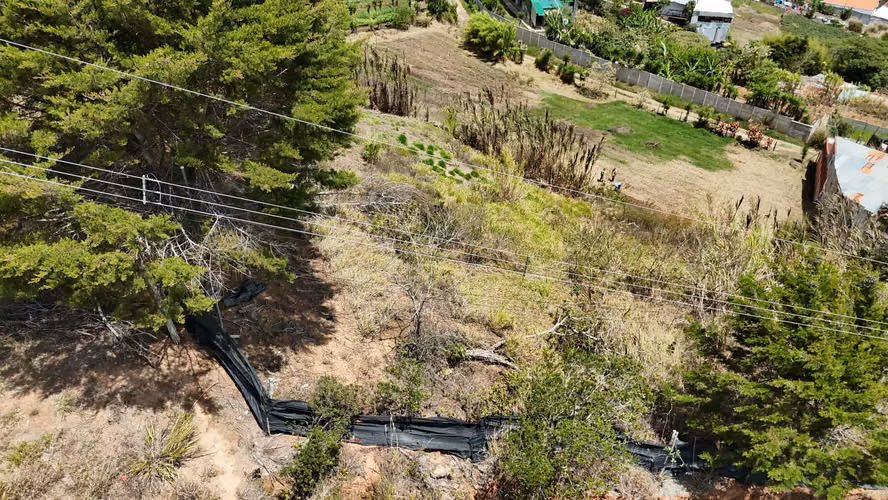 VENTA LOTE EN CARTAGO EL GUARCO, TOBOSÍ 5071 m2
