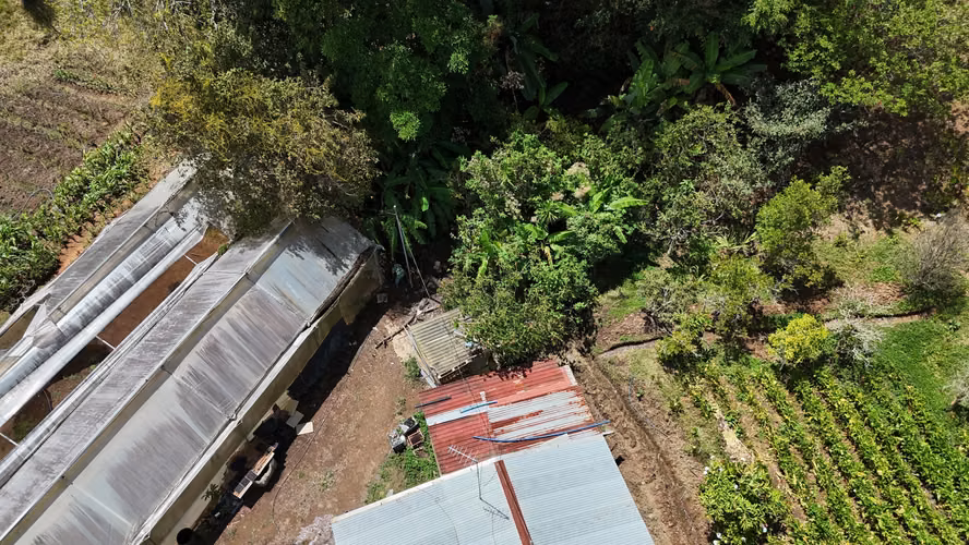 VENTA LOTE EN CARTAGO EL GUARCO, TOBOSÍ 5071 m2