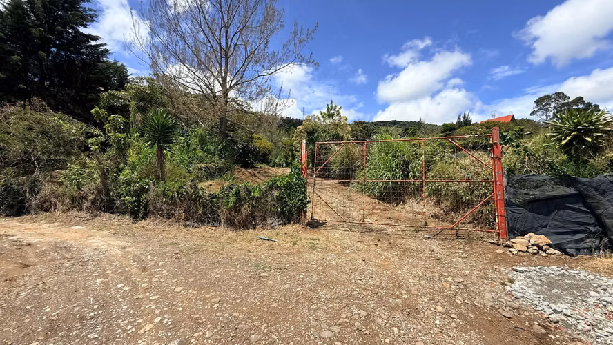 VENTA LOTE EN CARTAGO EL GUARCO, TOBOSÍ 5071 m2