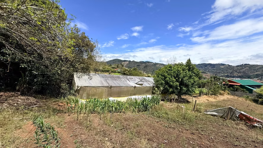 VENTA LOTE EN CARTAGO EL GUARCO, TOBOSÍ 5071 m2
