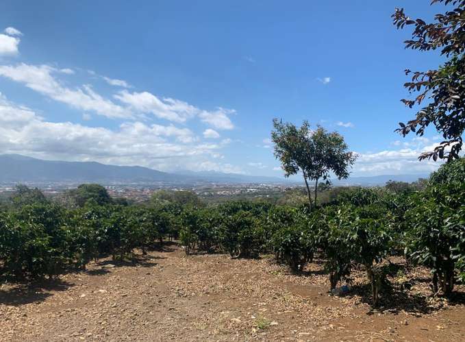 G.A. Terreno excepcional en San Rafael de Heredia: 198.173 m² con vistas panorámicas y potencial comercial - Imagen 10