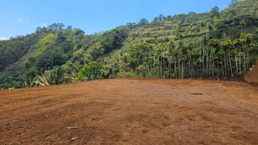Terrenos con vista panorámica en San Rafael de San Ramón, Alajuela - Imagen 7