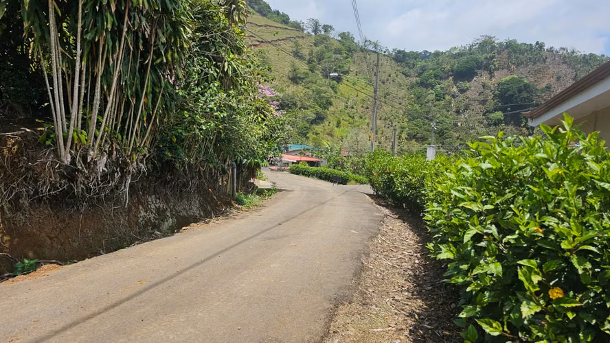 Terrenos con vista panorámica en San Rafael de San Ramón, Alajuela - Imagen 11