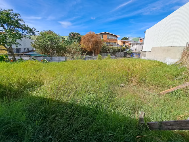 Terreno en Zapote en venta, muy buena ubicación, zona residencial de alta demanda SVL-23 - Imagen 7