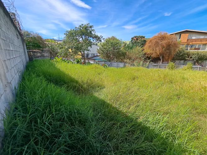 Terreno en Zapote en venta, muy buena ubicación, zona residencial de alta demanda SVL-23 - Imagen 8