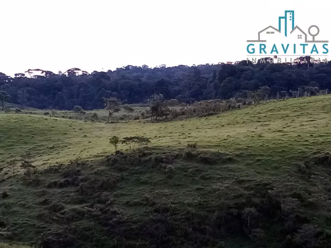 Finca ganadera en venta en Sarapiquí, 700 Hectáreas ID 1398