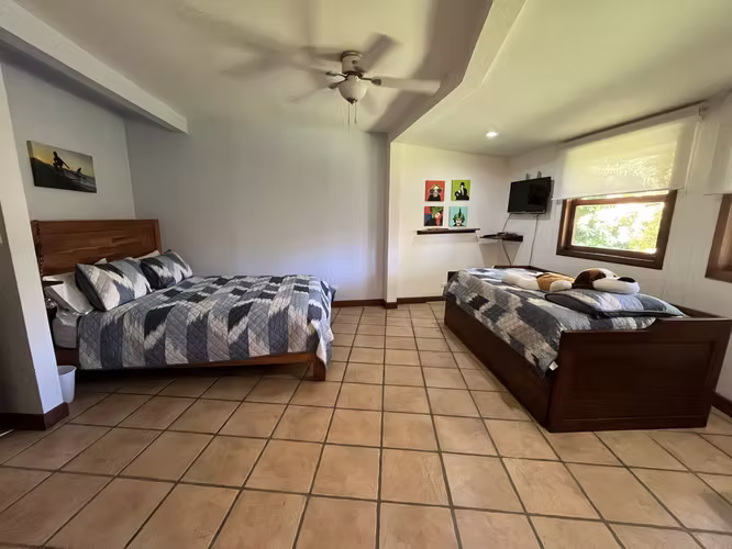 YA. Casa de 1 planta en medio de su bosque, Brasil de S.A.