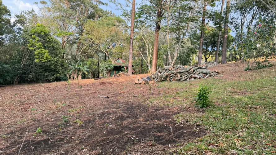 Venta de lote a 8 Km de Monteverde, Puntarenas - Imagen 8