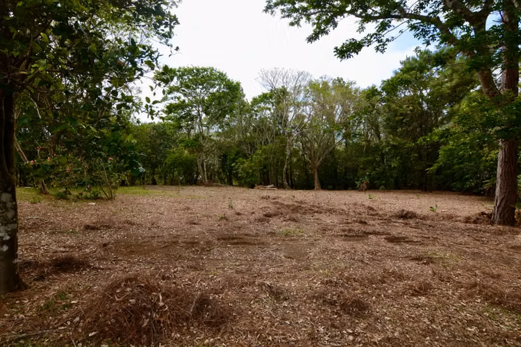 Venta de lote a 8 Km de Monteverde, Puntarenas - Imagen 5