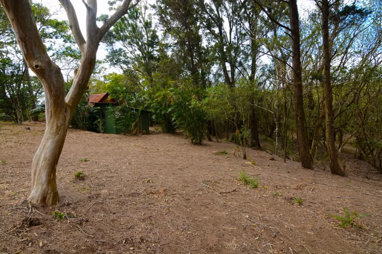 Venta de lote a 8 Km de Monteverde, Puntarenas - Imagen 7