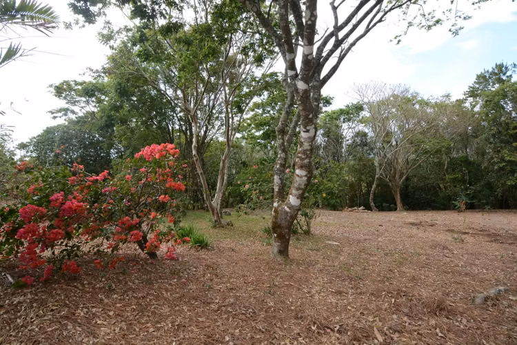 Venta de lote a 8 Km de Monteverde, Puntarenas - Imagen 9
