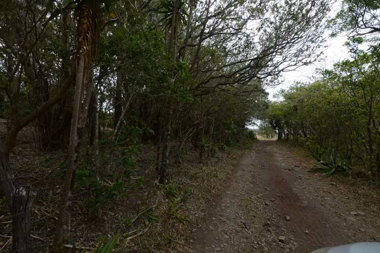 Venta de lote a 8 Km de Monteverde, Puntarenas - Imagen 15