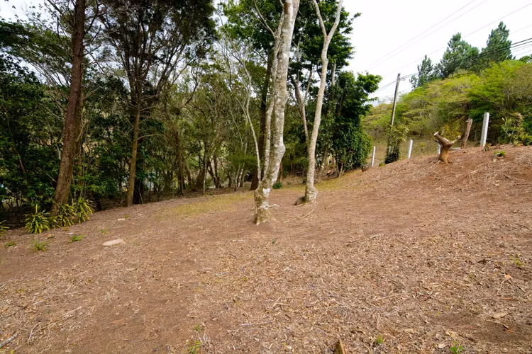 Venta de lote a 8 Km de Monteverde, Puntarenas - Imagen 6