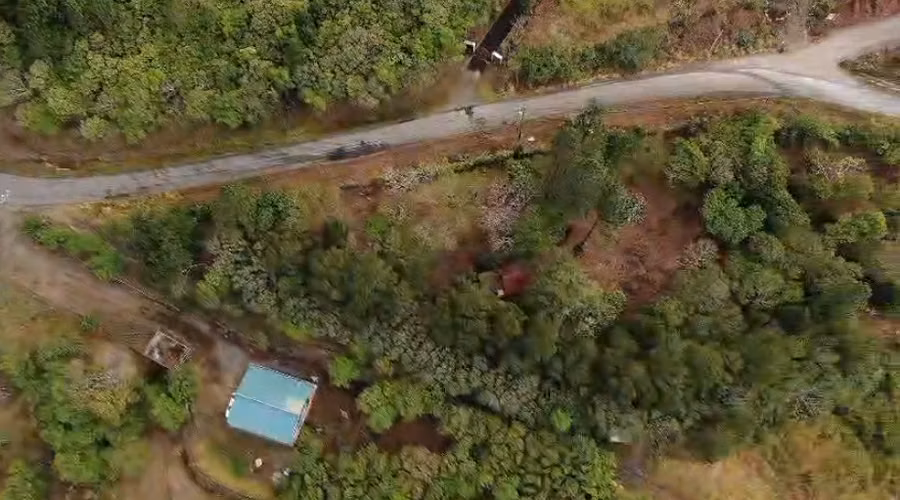 Venta de lote a 8 Km de Monteverde, Puntarenas - Imagen 13