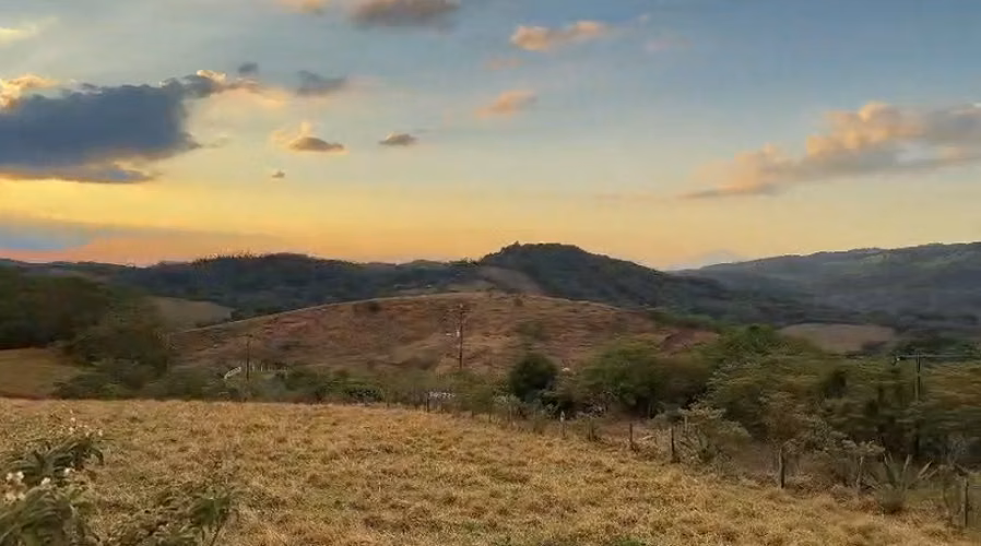 Venta de lote a 8 Km de Monteverde, Puntarenas - Imagen 10
