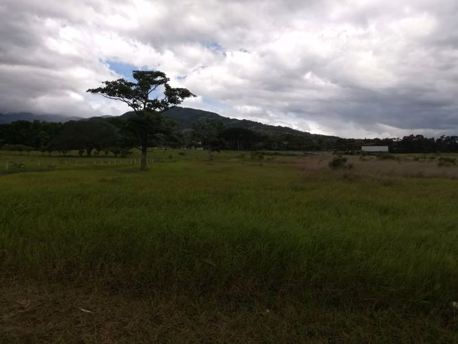 Venta de Finca en Brasil de Santa Ana - Imagen 10