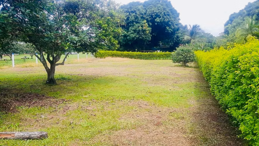 Terreno en venta en Orotina, uso de suelo mixto - Imagen 5