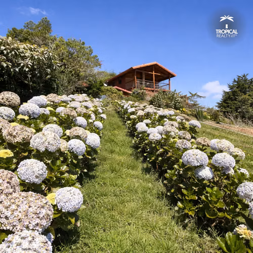Quinta de Montaña en Venta en Poasito – Cabaña con Jacuzzi, Chimenea y Amplio Terreno - Imagen 9