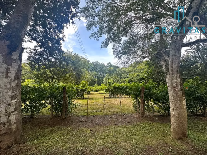 Lotes en Marbella Guanacaste | 1000m2 a 5000m2 | ID 1446 - Imagen 8