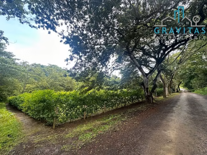 Lotes en Marbella Guanacaste | 1000m2 a 5000m2 | ID 1446 - Imagen 14