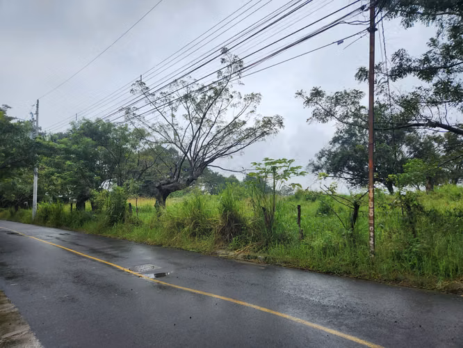 Sto Domingo Centro, Heredia - Imagen 9