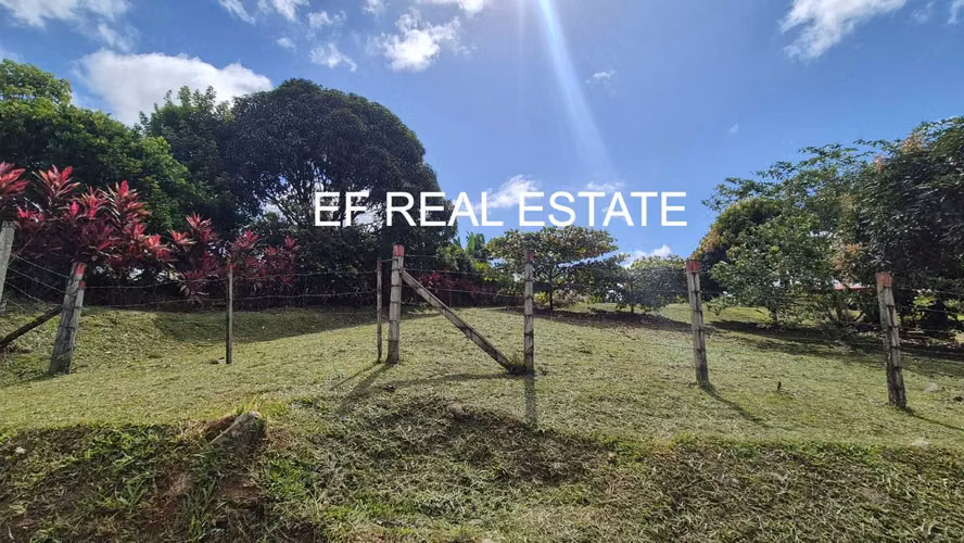 VENTA¡¡ DE LINDO TERRENO RIO CUARTO ALAJUELA 1492 COSTA RICA ÁRBOLES FRUTALES - Imagen 15