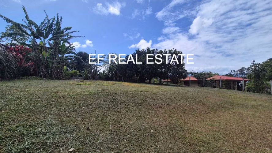VENTA¡¡ DE LINDO TERRENO RIO CUARTO ALAJUELA 1492 COSTA RICA ÁRBOLES FRUTALES - Imagen 6