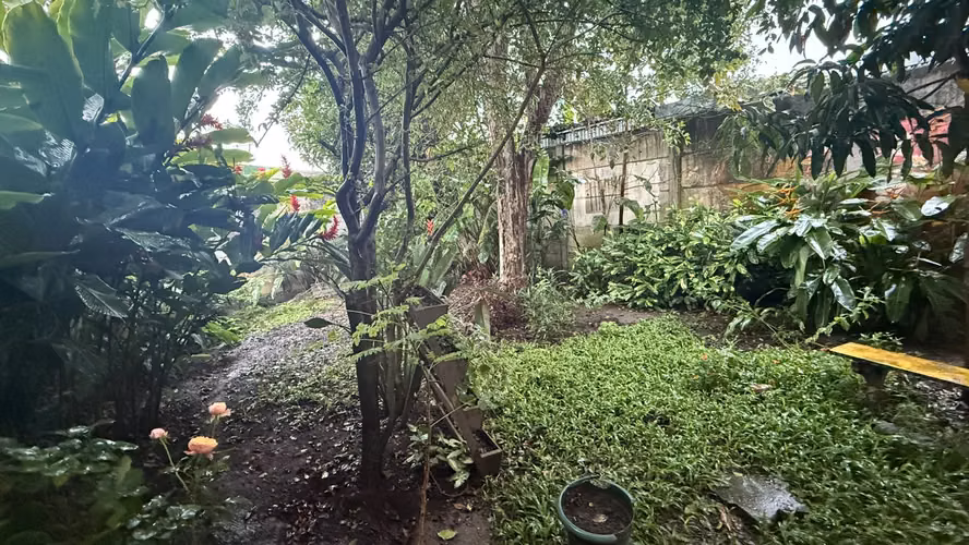 Casa en venta en Curridabat- Tirrases 1 nivel- Para demoler o remodelar - Imagen 3