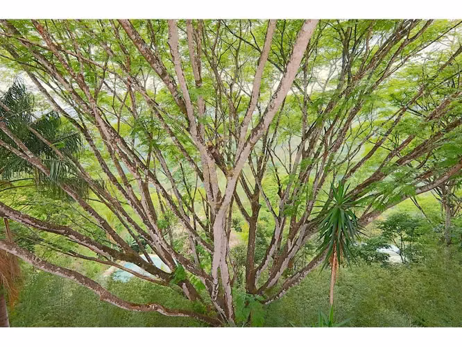 Venta Casa independiente Ciudad Colón
