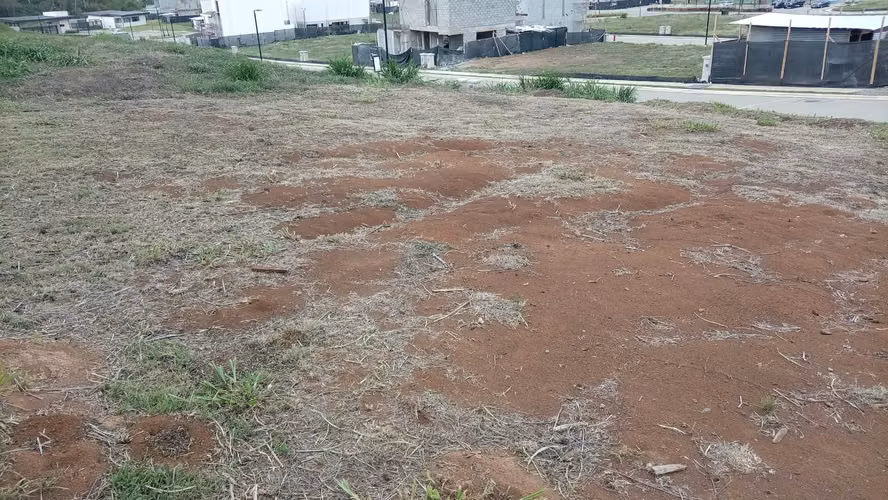 Venta de Lote en condominio Ave. del Este, Curridabat, Ayarco Sur.