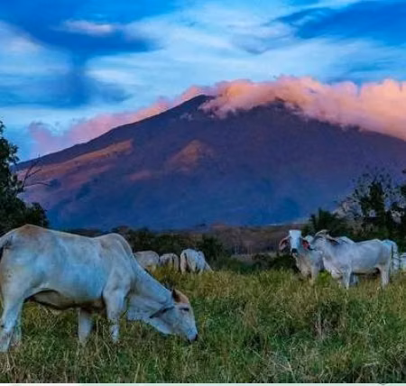 Quintas con financiamiento en Fortuna de Bagaces, Guanacaste