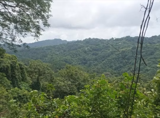 Terreno de una Hectárea en San Juanillo, Santa Cruz, Guanacaste - Imagen 8