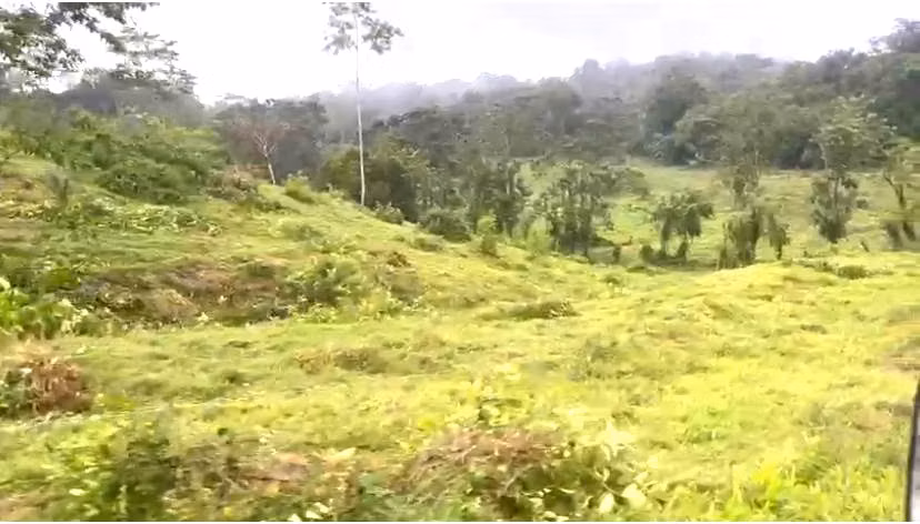 Venta de Finca San Carlos Betania de Cutris  $12.500 x hect 125 hect - Imagen 5