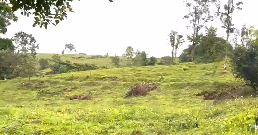 Venta de Finca San Carlos Betania de Cutris  $12.500 x hect 125 hect - Imagen 13
